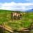 Pasture